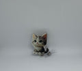 Cute Kitten Retractable Badge Reel