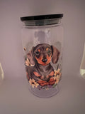Dachshund