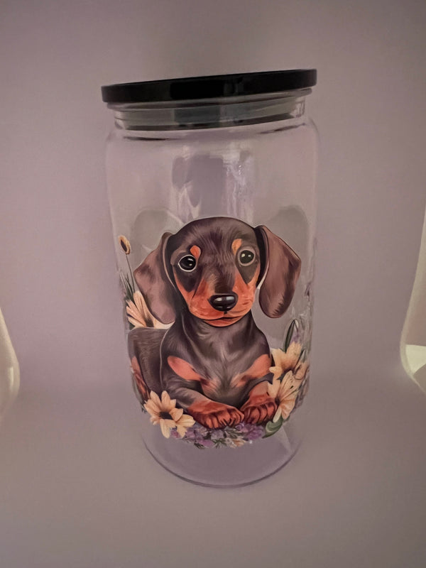 Dachshund