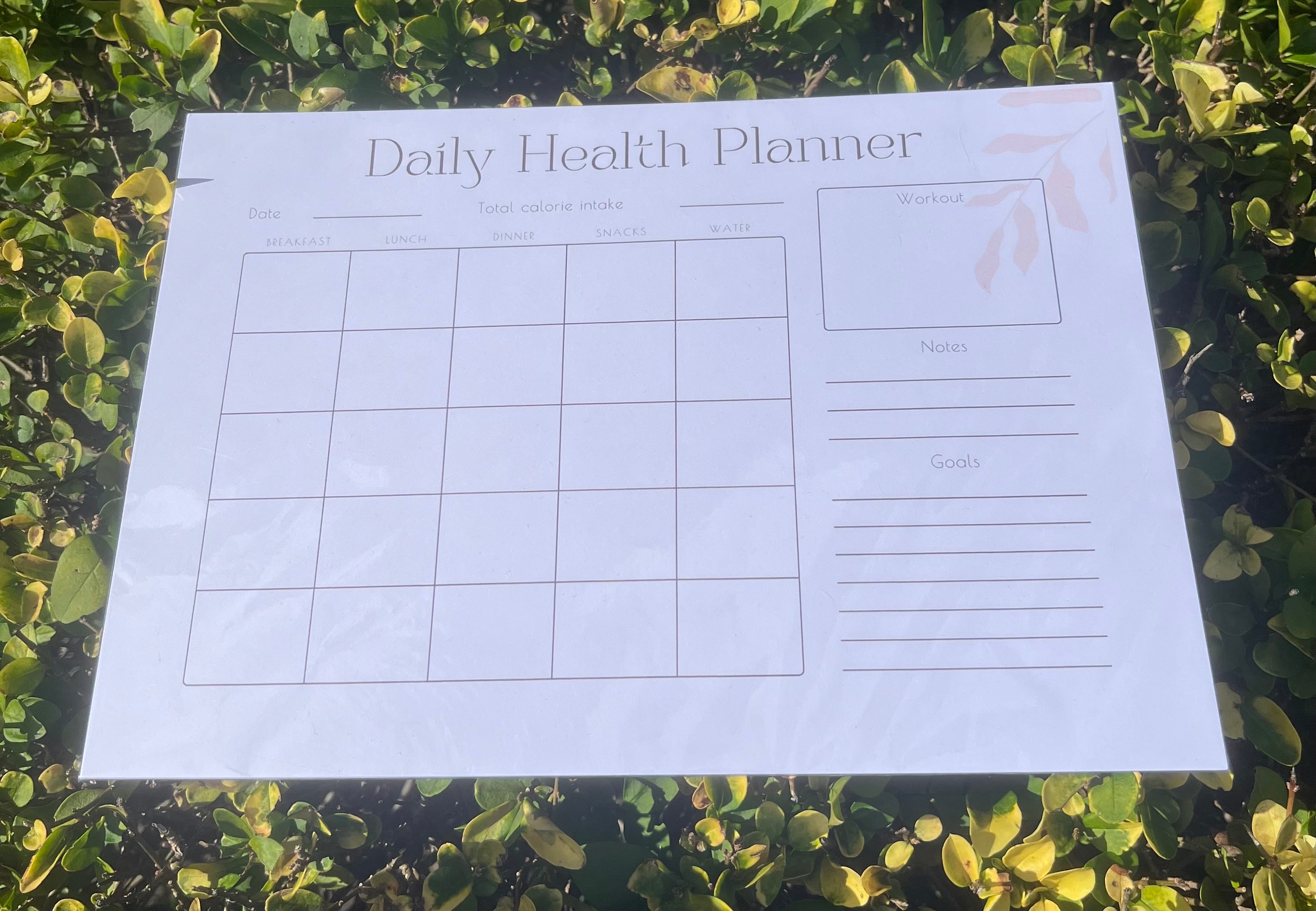 Daily Health Planner