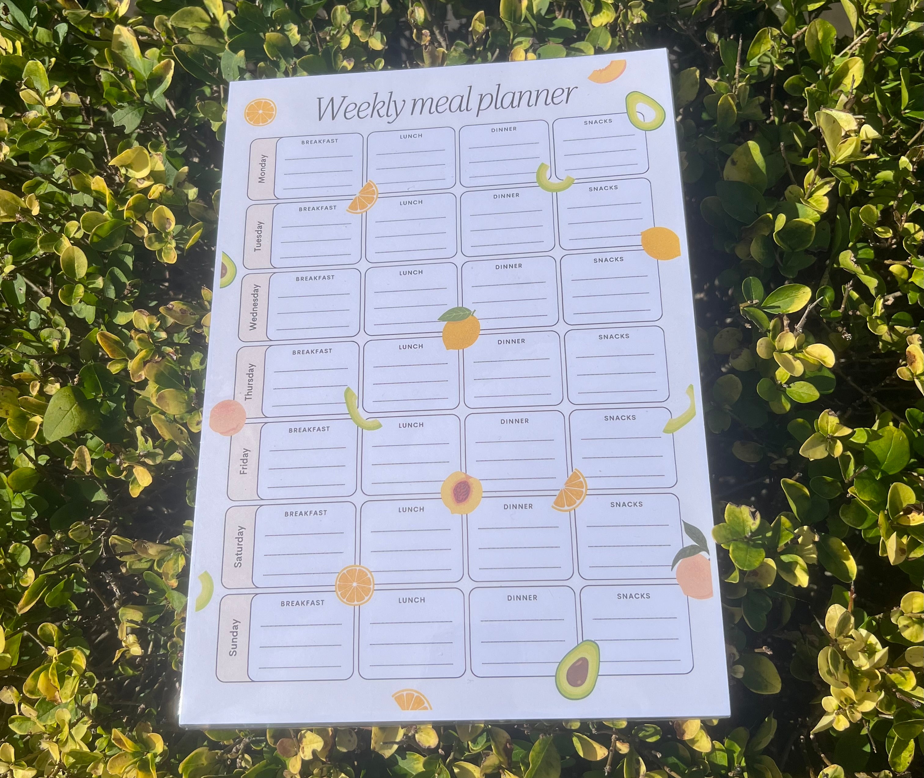 Weekly Meal Planner - Fruit Design