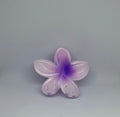 Purple frangipani flower hair claw clip with translucent lavender petals and deep violet centre