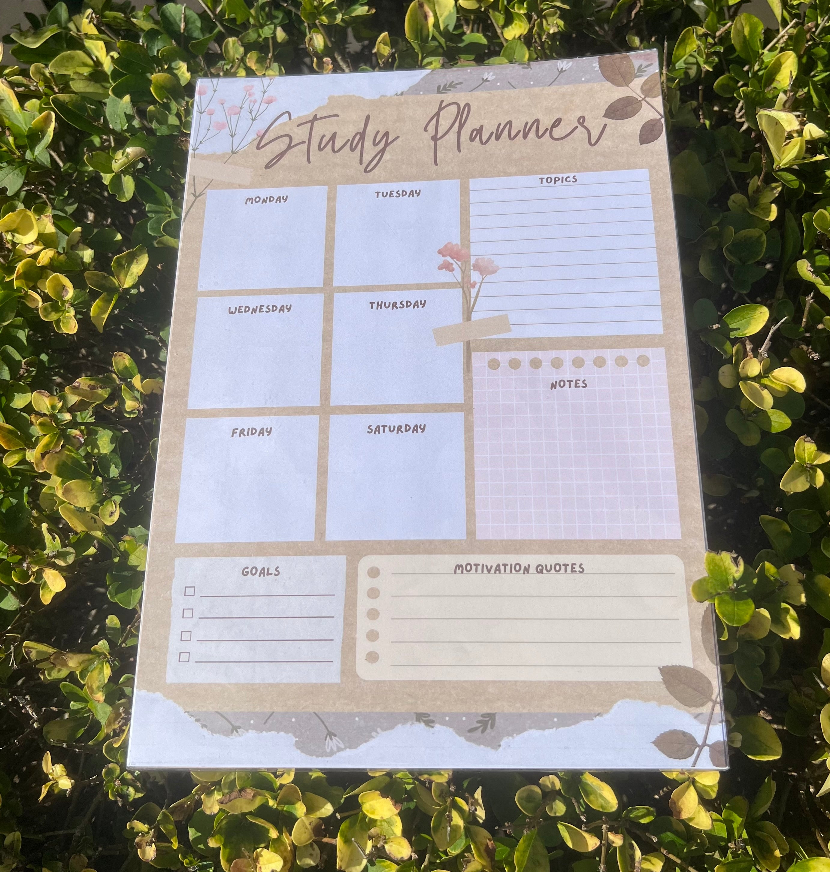Study Planner